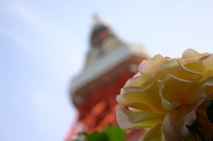 IMG_1759.JPG