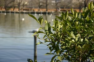 IMG_9798.JPG