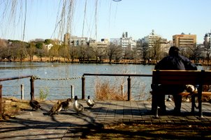IMG_9800-1.JPG