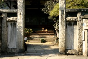 IMG_9829.JPG