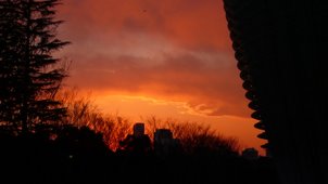 P1010207.JPG
