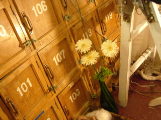 P1030141.jpg