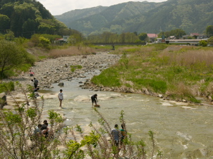 P1040733.jpg