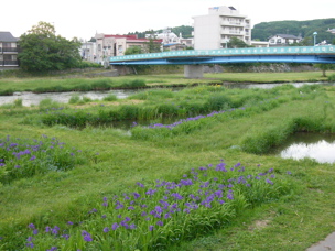 P1050035.jpg