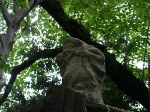 P1050172.jpg