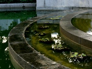 P1060020.jpg