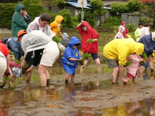 P1090057.JPG
