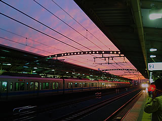 PAP_0018.jpg